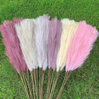 5 pieces 100 cm Artificial Pampas Grass Dried Flower Bouquet Wedding Party Decoration Home Room DIY Artificial Plants Decoration Supplies