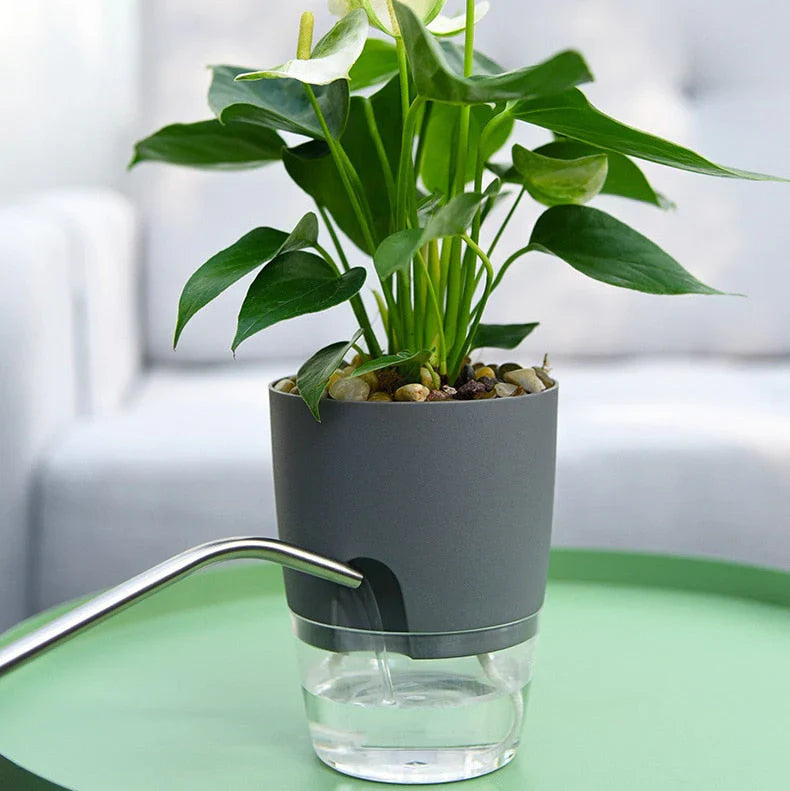 Automatic watering pot