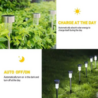 Solar-Powered Fairy Light 10-Piece Set for Outdoor Landscaping