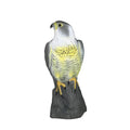 Falcono BirdGuard Bird Scare Bird of Prey Decorative Figure | Realistic Eagle Decoy Made of Plastic | For Garden & Balcony