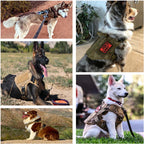 Guardpaw Tactical Dog Harness with Handle - Durable, Adjustable, Leash Set