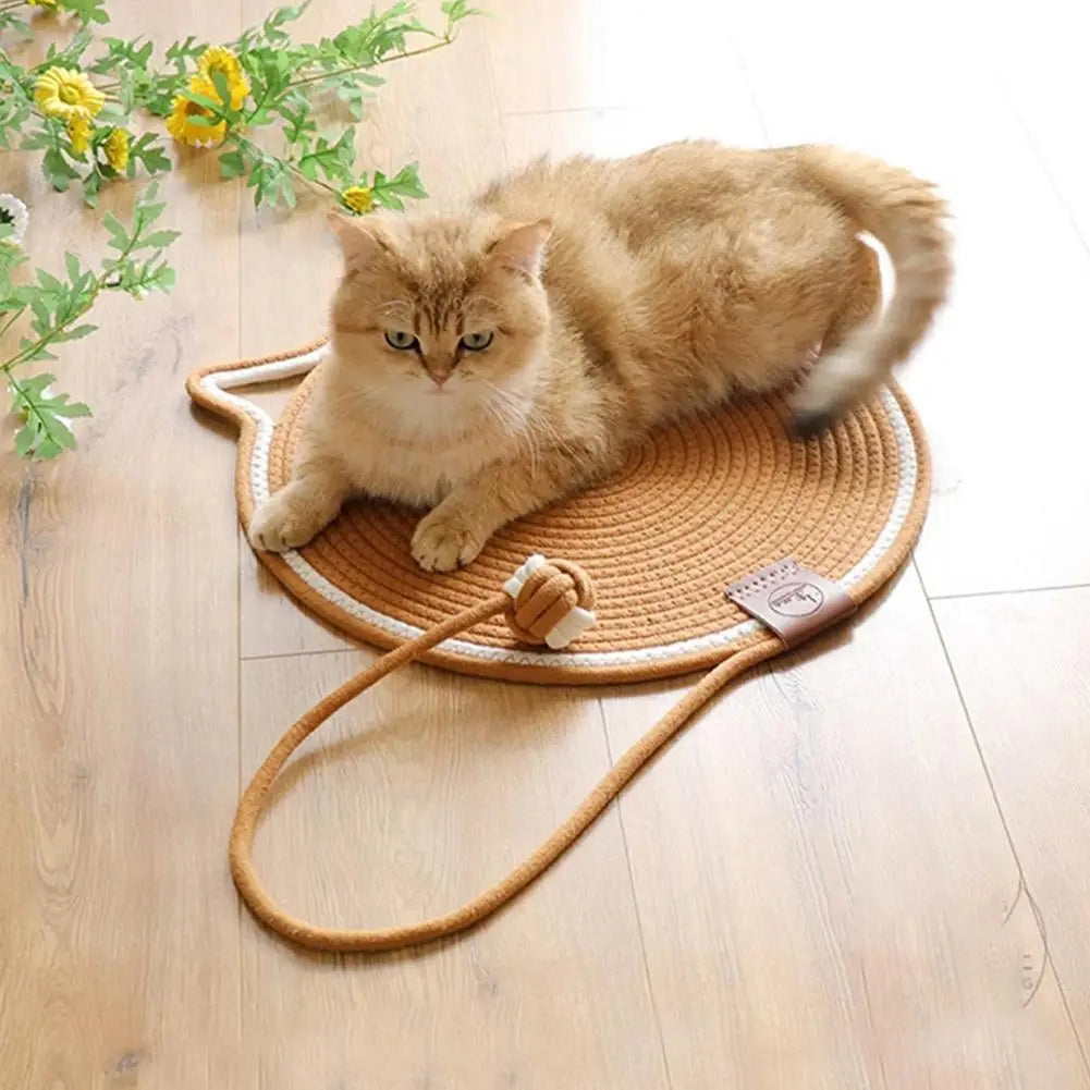 2-in-1 Cat Scratching Carpet & Play Mat