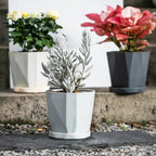 Nordika Planter | Scandinavian Design | Durable Resin | For Plants & Decoration