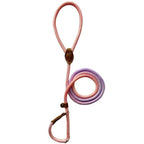 Colorful Dog Leash for Stylish Walks