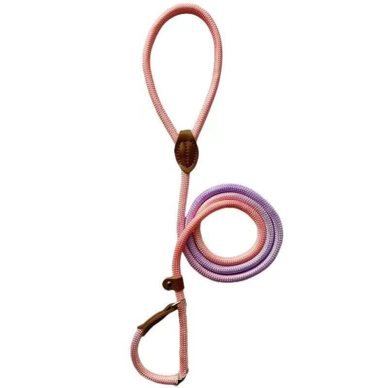 Colorful Dog Leash for Stylish Walks