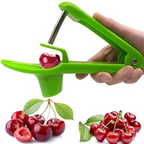 Stainless Steel Cherry and Olive Pitter Tool