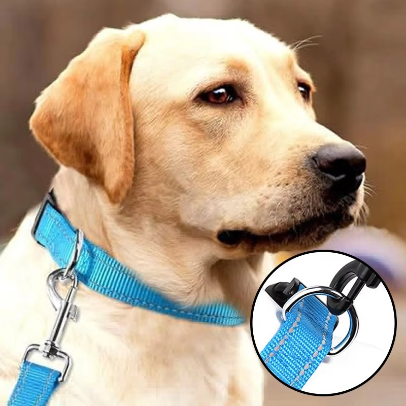 Reflective Comfort Collar for Dogs – Soft, Adjustable, and Breathable