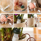 AquaTerris Plant Irrigation System | 8-Piece Set | Self-Watering Ceramic Spikes | Automatic & For Indoor Use