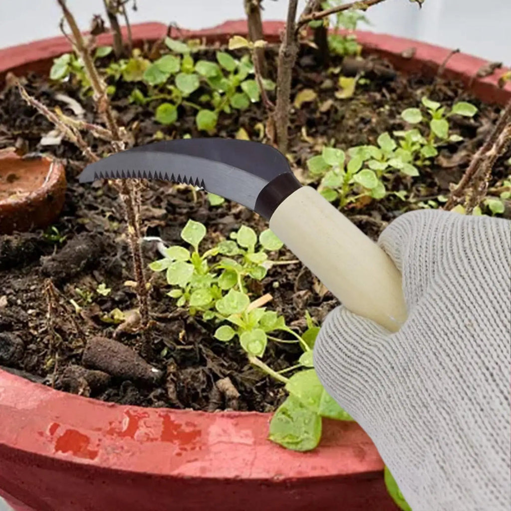 ZenWeed Garden Knife | Precise Stainless Steel Blade | Ergonomic Wooden Handle | Compact & Handy