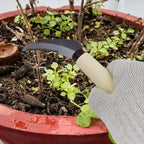 ZenWeed Garden Knife | Precise Stainless Steel Blade | Ergonomic Wooden Handle | Compact & Handy