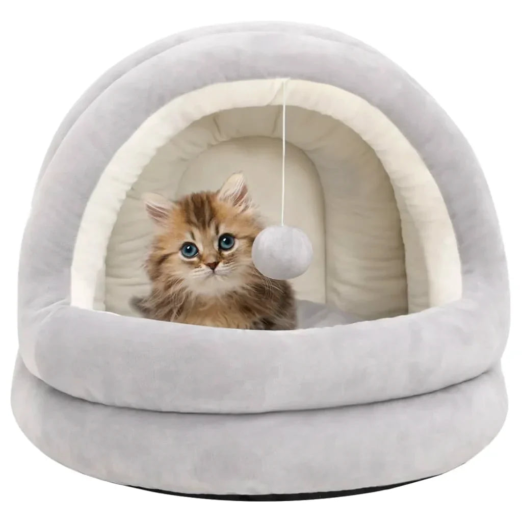 Safe shelter for cats and dogs