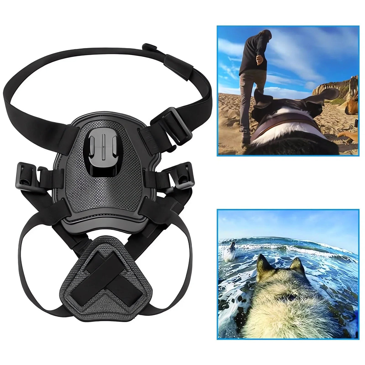 Action-Cam Dog Harness with 360° Perspective