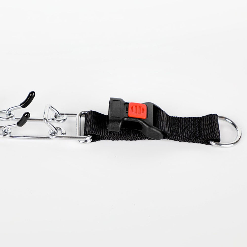 Dog Pincher Collar - Stylish C