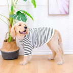 Cotton Summer T-Shirt for Large Dogs – Breathable Tee for Golden Retrievers, Huskies, Labradors, Corgis and More