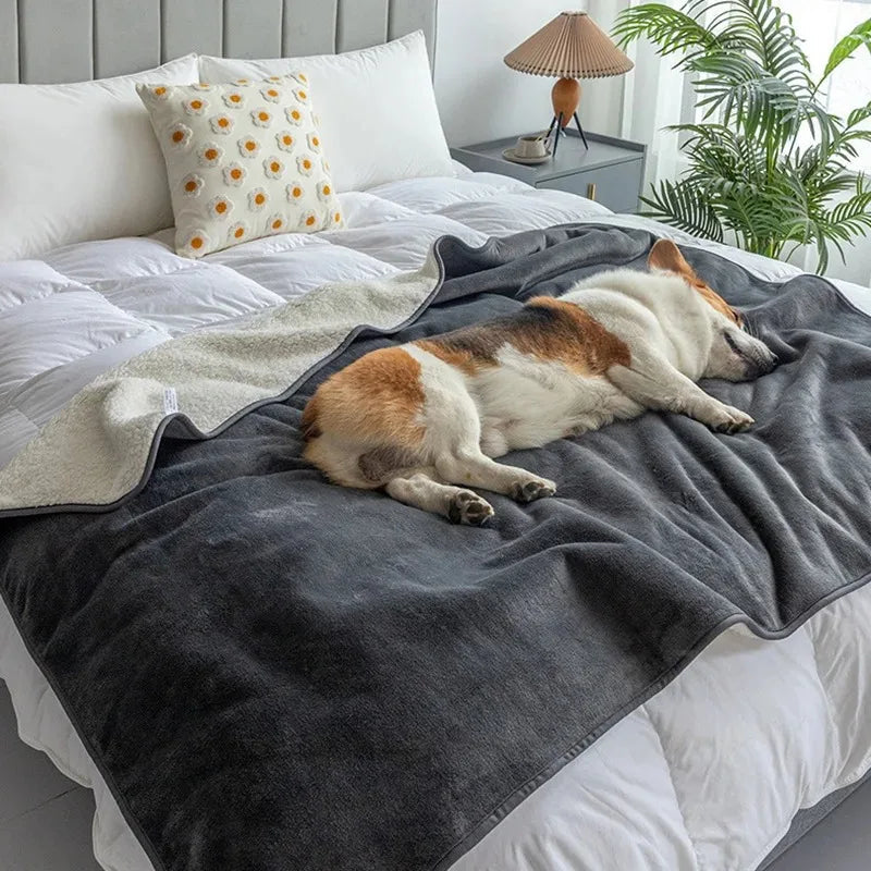 Waterproof Pet Blanket PawProof | For Dogs & Cats | Cozy & Durable