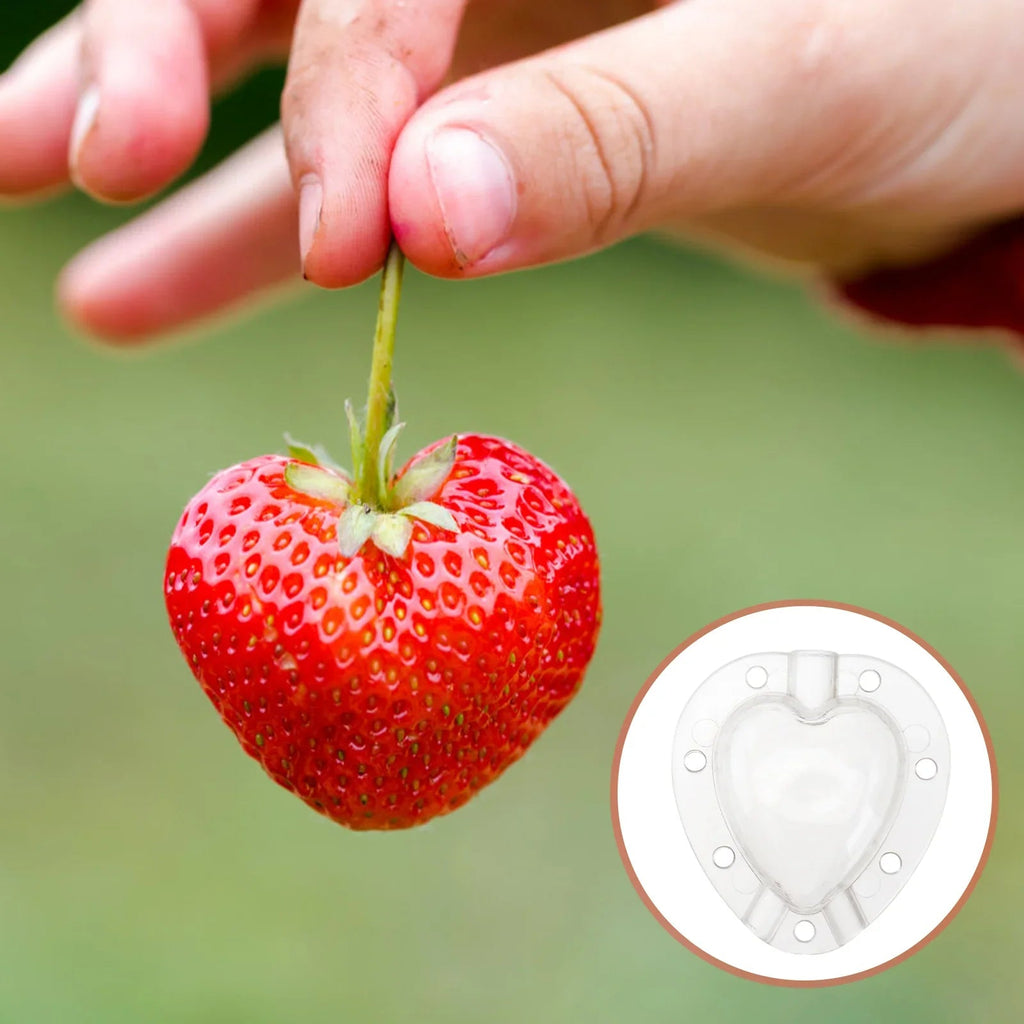 Heart Shaped Vegetable Cutter – Creative Mold Bowl for Vegetables and Fruits