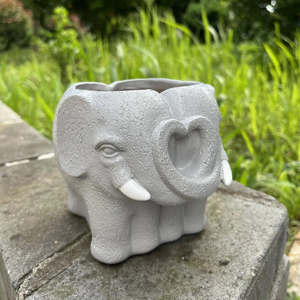 Adorable Cartoon-Styled Mini Plant Pot for Decorative Display