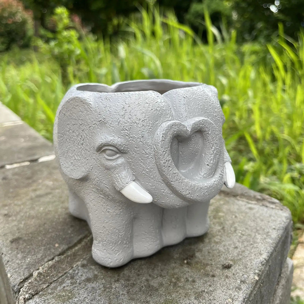 Adorable Cartoon-Styled Mini Plant Pot for Decorative Display