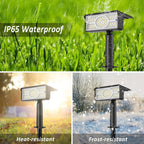 Solara LED Solar Spotlight | 4 Light Colors | 49 LEDs | IP65 Waterproof | Energy Saving with Solar Panel
