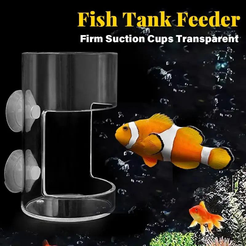 Clean Aquarium Feeder - Buy 1, Get 1 Free!