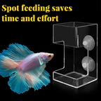 Clean Aquarium Feeder - Buy 1, Get 1 Free!