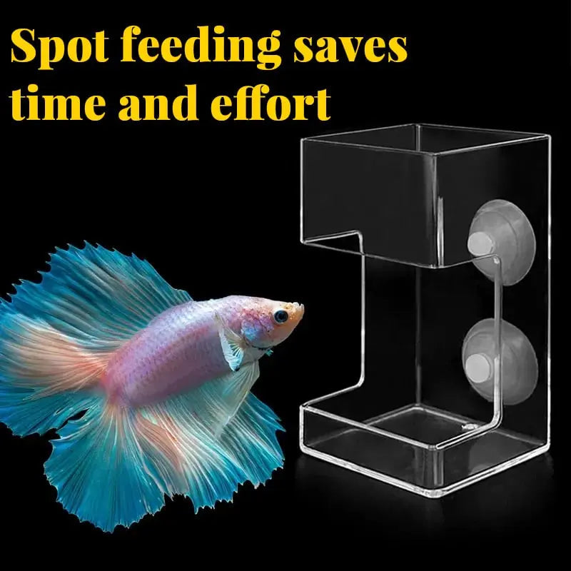 Clean Aquarium Feeder - Buy 1, Get 1 Free!