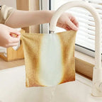 Absorbent Reusable Cleaning Cloths (1 set with 20 pieces)
