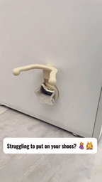 Suction Cup Shoe Removal Hook