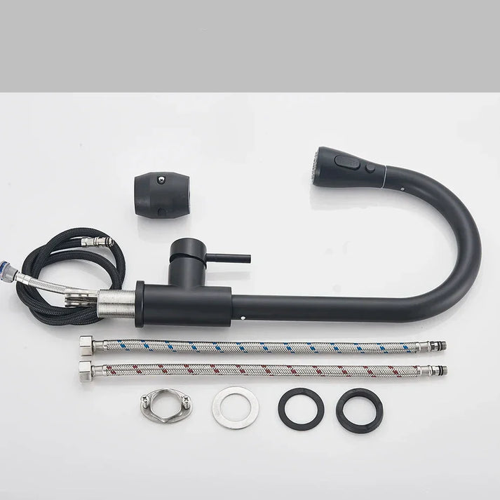 Modern Single-Handle Faucet with Pull-Out Spray