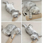 Scratching pillow for cats with catnip durable and sturdy