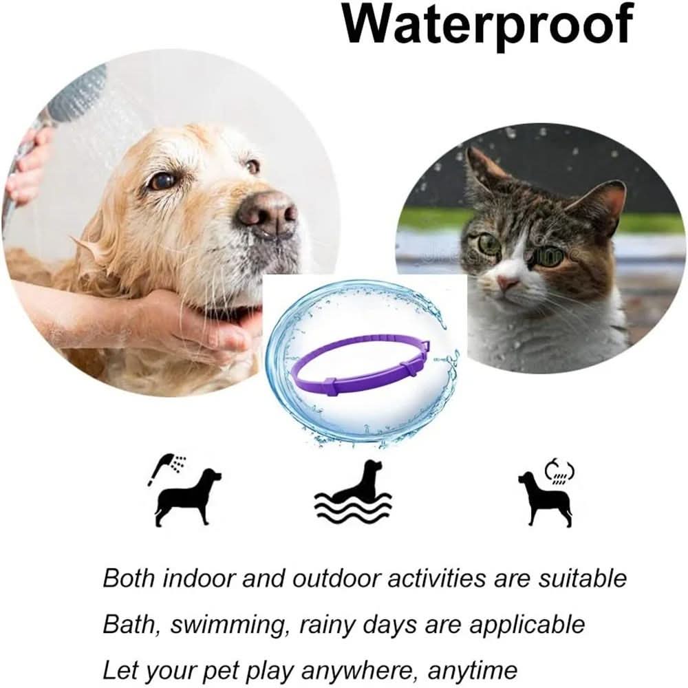 Flea & Tick Protection Collar for Dogs & Cats