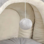 Safe shelter for cats and dogs