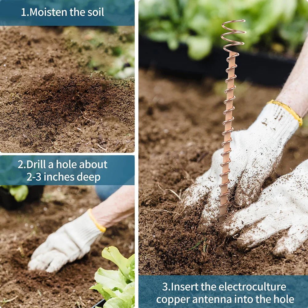 VerdoraFlux Electroculture Plant Antennas | Copper Growth Rods for Garden & Potted Plants | Promoting Plant Growth Without Fertilizer