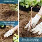VerdoraFlux Electroculture Plant Antennas | Copper Growth Rods for Garden & Potted Plants | Promoting Plant Growth Without Fertilizer