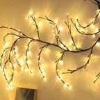 Brighten your garden - Natural beauty - Cozy atmosphere - Wine and light