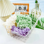 2-In-1 Exfoliating Mesh Shower Sponge