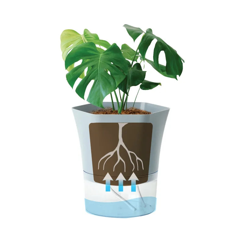 Plantilo Self-watering Flower Pot | Transparent | Automatic Water Supply | For Houseplants