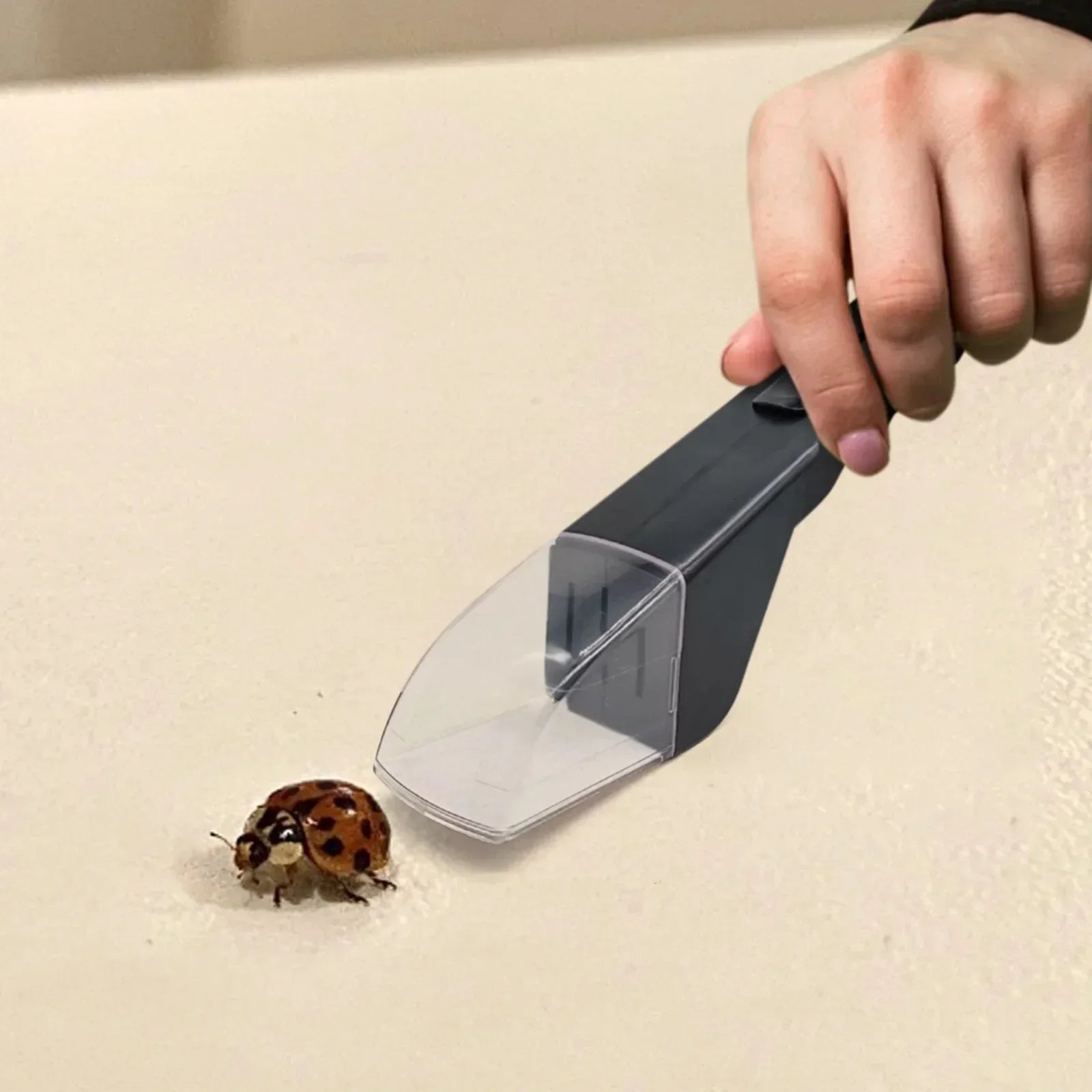 No Exit Easy Insect Catcher Tool