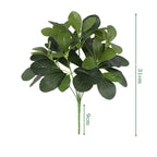 Artificial Plant EverLeaf 33 | 33 cm | With Stem & Leaves | Low-Maintenance Decor for Home & Office