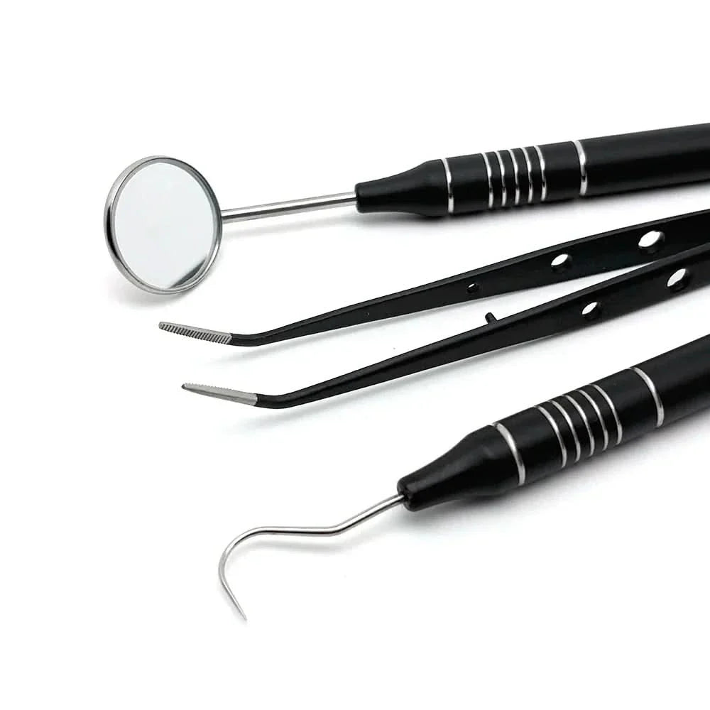 Stainless Steel Teeth Cleaning Kit with Dental Tools