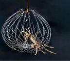 AutoTrap Fishing Net Cage