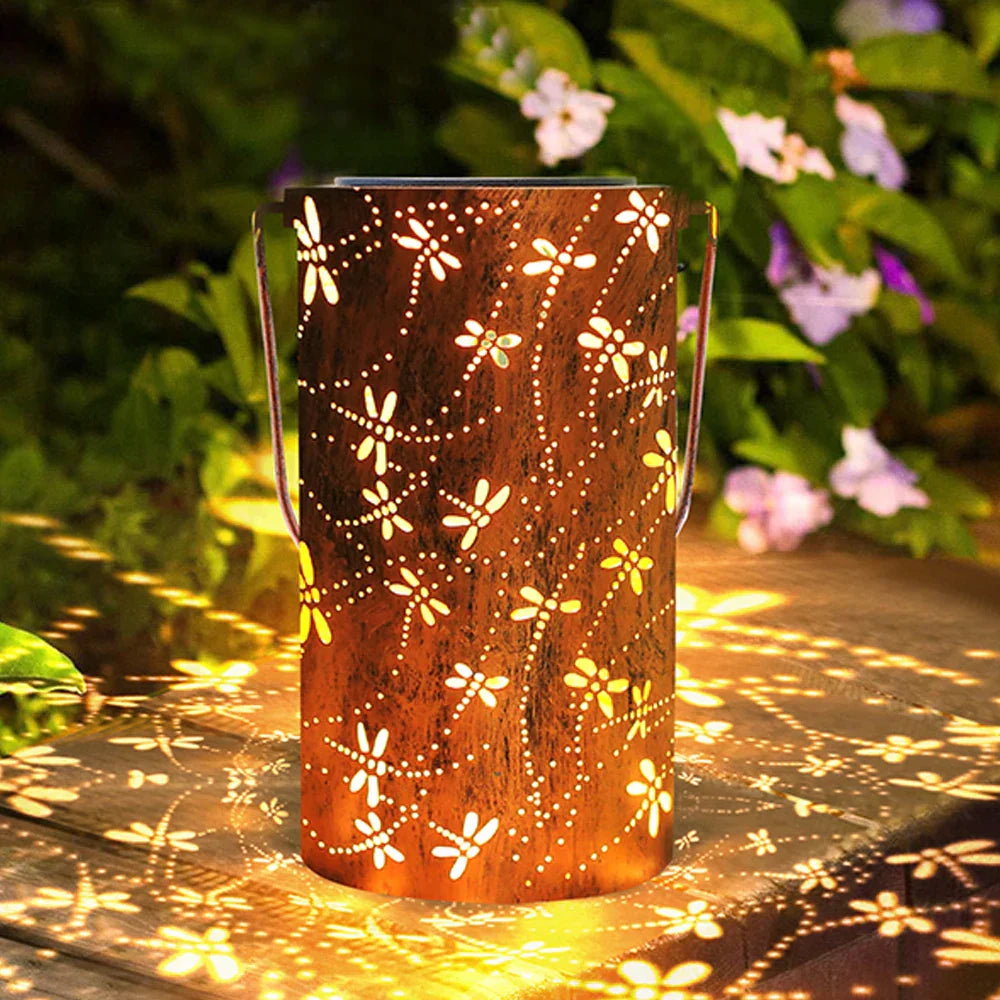 Sunny Glow for Evening Explorers