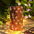 Sunny Glow for Evening Explorers