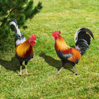 Garden figure: Feathered beauty