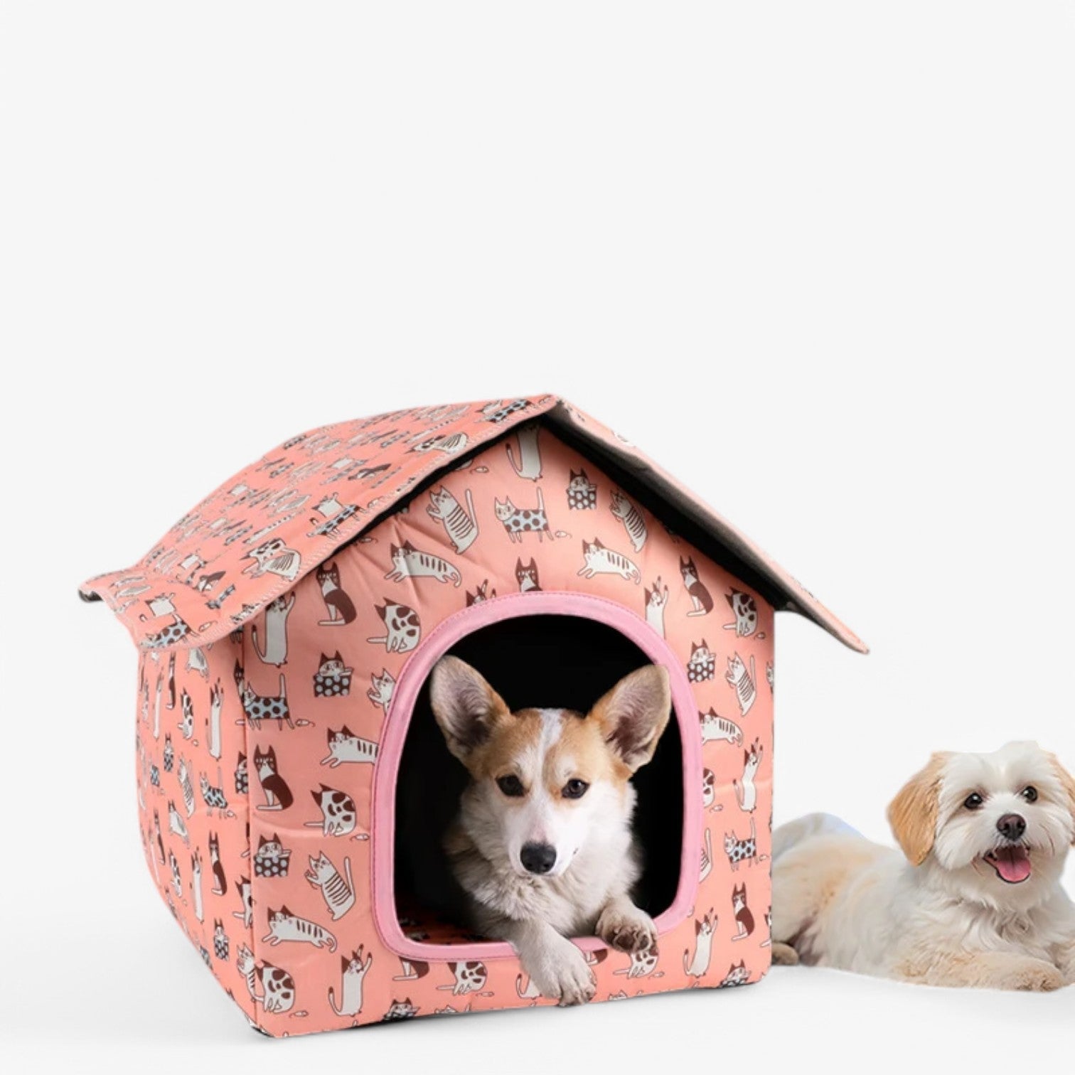 Weather-resistant Animal House "CozyNest" for Cats and Small Dogs