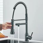 SpringFlow – Kitchen faucet with dual outlet