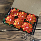 GlowLotus Solar Lotus Lamp | Water Sensor | Warm White Light for Pond & Garden