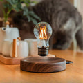 360 Degree Rotatable Magnetic Night Light with Levitation