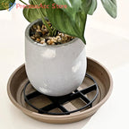 Aircotta Plant Pot Saucer | Ventilation & Ground Protection | For Indoor & Outdoor | Durable Plastic