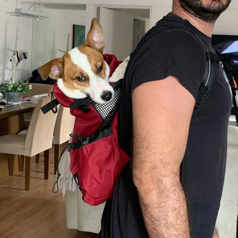 Dog backpack for outdoor & travel breathable